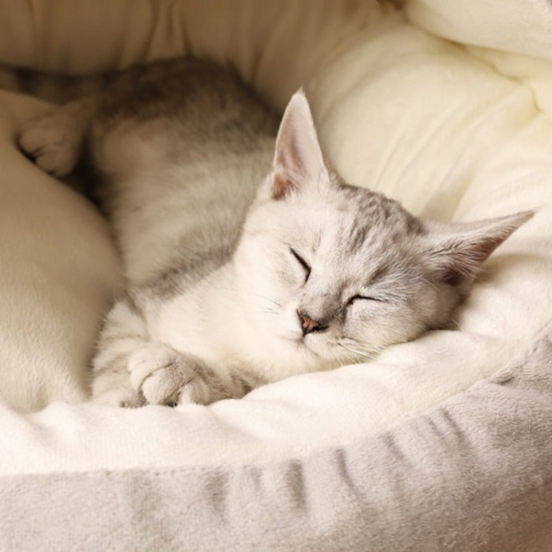 Beruhigendes Rundes Katzenhöhlenbett für ultimativen Komfort | Lyrra NUMENCE Pet Beds