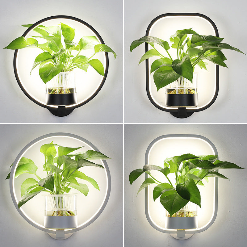 Einzigartige Ambient-Wandbeleuchtung für Wohnräume mit Pflanzenhalter | Sargos NUMENCE Wall Lighting